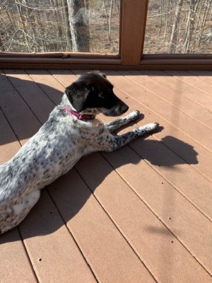 Photo of Luna
