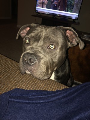 Photo of Jordan &ldquo;Jojo&rdquo;