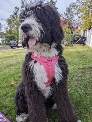 Photo of Prairie