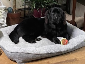 Photo of Winnie
