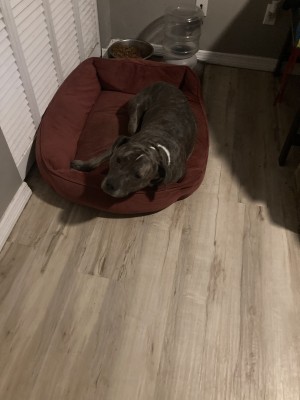Photo of Nalah