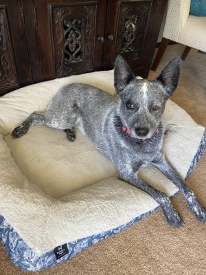 Photo of Jack