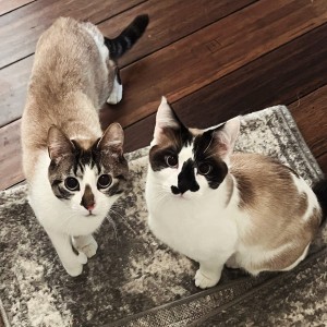 Photo of Luca And Tito
