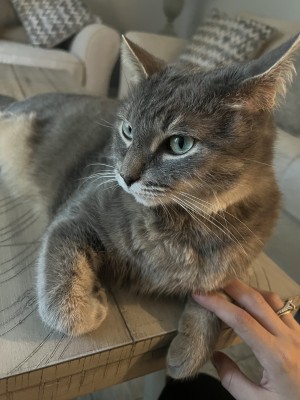 Photo of Louie