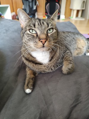 Photo of BamBam