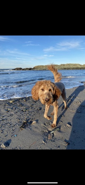 Photo of Molly