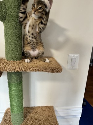 Photo of Tom