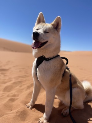 Photo of Meiyo