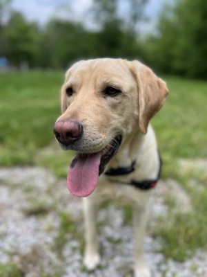Photo of Bert