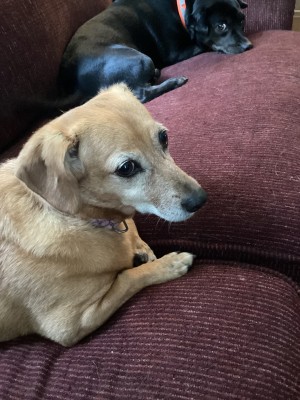 Photo of Sophie