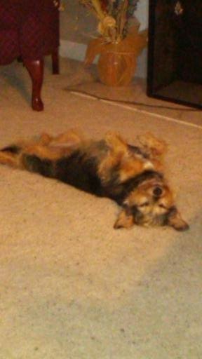 Photo of Molly