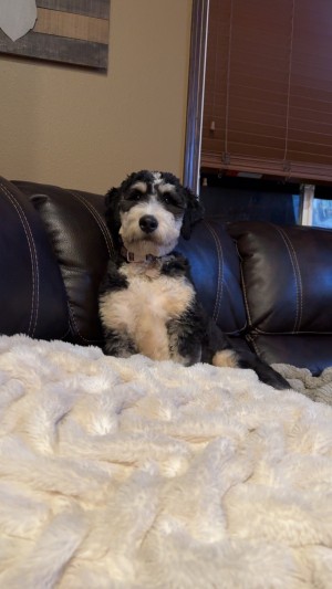 Photo of Mia