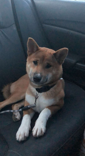 Photo of Kenji