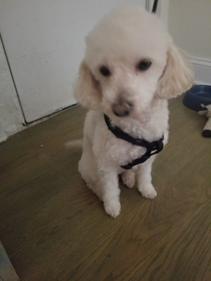 Photo of Max