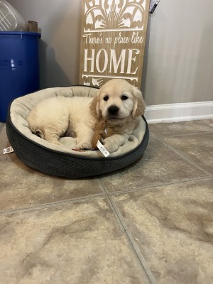 Photo of Clay