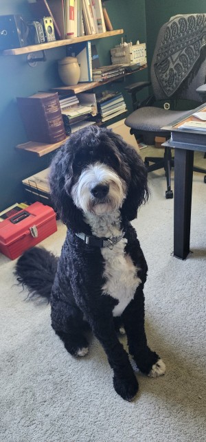Photo of Max