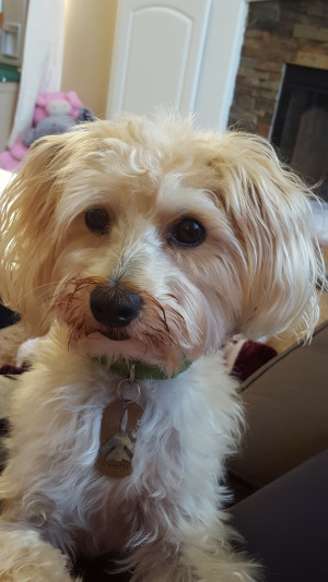 Photo of Maverick 