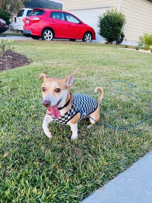 Photo of Bingo
