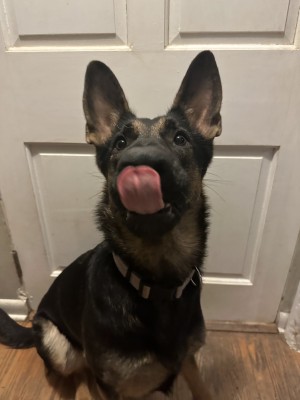 Photo of Mila