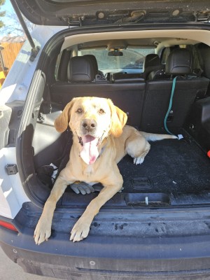 Photo of Duke