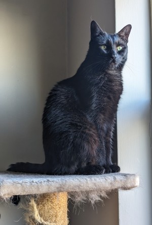 Photo of Mew Aka Kevin