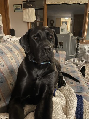 Photo of Molly