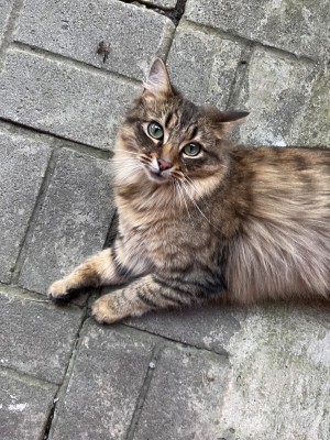 Photo of Ellie