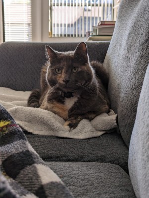 Photo of Charlie