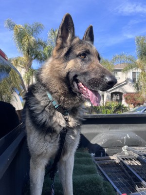 Photo of Zeus