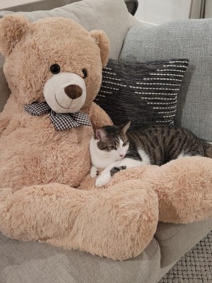 Photo of Tobby