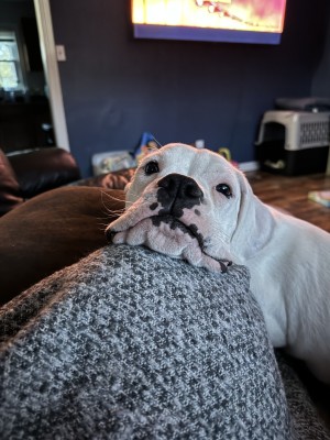 Photo of Jack Jack