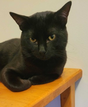 Photo of Kevin