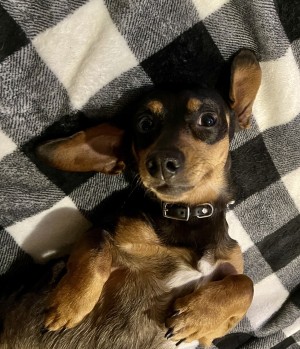 Photo of Blue