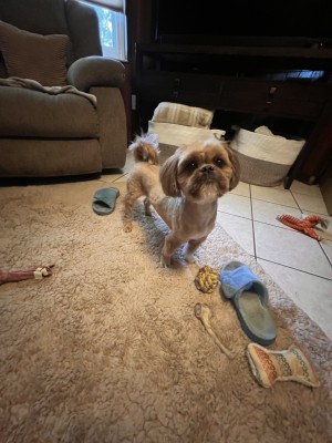 Photo of Thoery