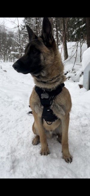 Photo of Max