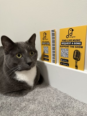 Photo of Socks