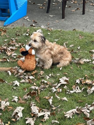 Photo of Charlie