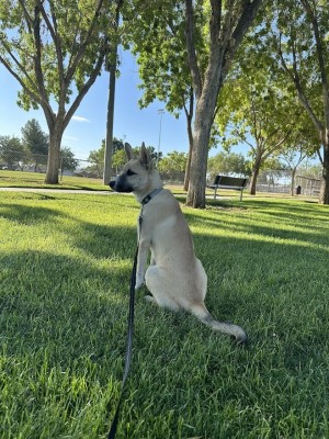 Photo of Jelly