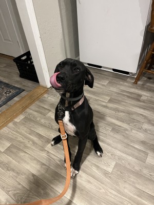 Photo of Matilda