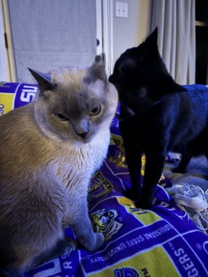 Photo of Roux