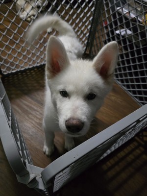 Photo of Kratos