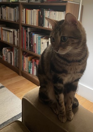 Photo of Louis