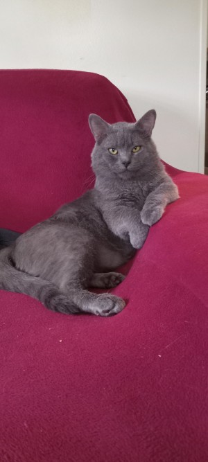 Photo of Stubby Todd