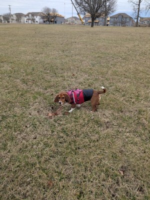 Photo of Ember