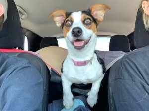 Photo of Little Girl