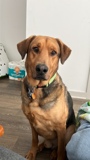 Photo of Elwood