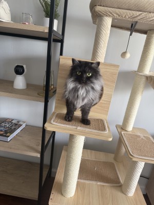 Photo of Nala