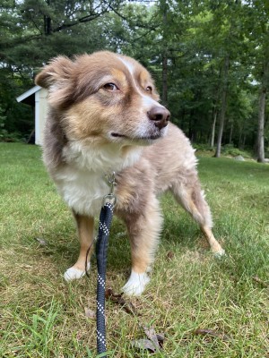 Photo of Gambit