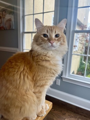 Photo of Gus