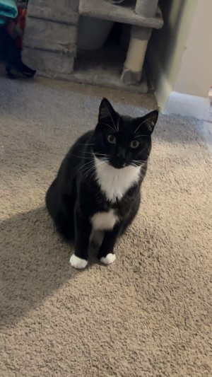 Photo of Milo